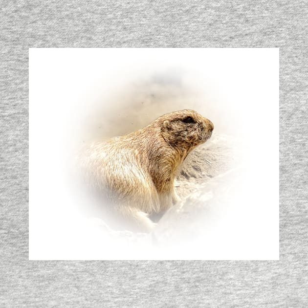 Prairie dog by Guardi